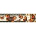 BARRA ADESIVA 43,6x4,0 - BORBOLETAS (Mod.3) 